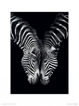 Marina Cano (Together) 60 x 80